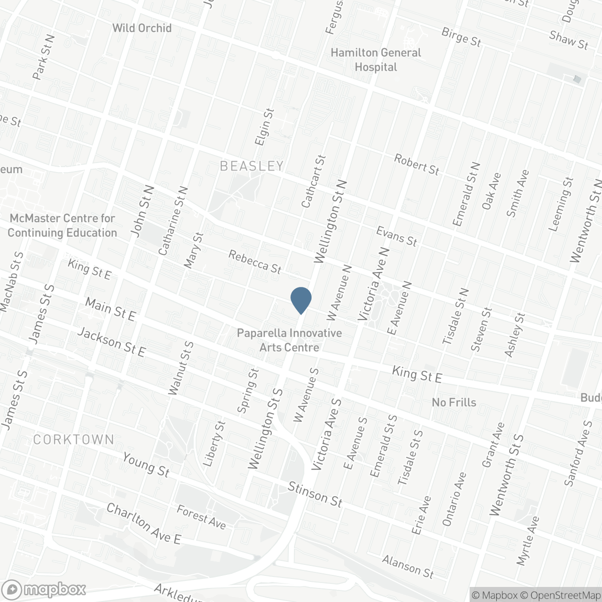 45 WELLINGTON STREET N, Hamilton, Ontario L8R 1M9
